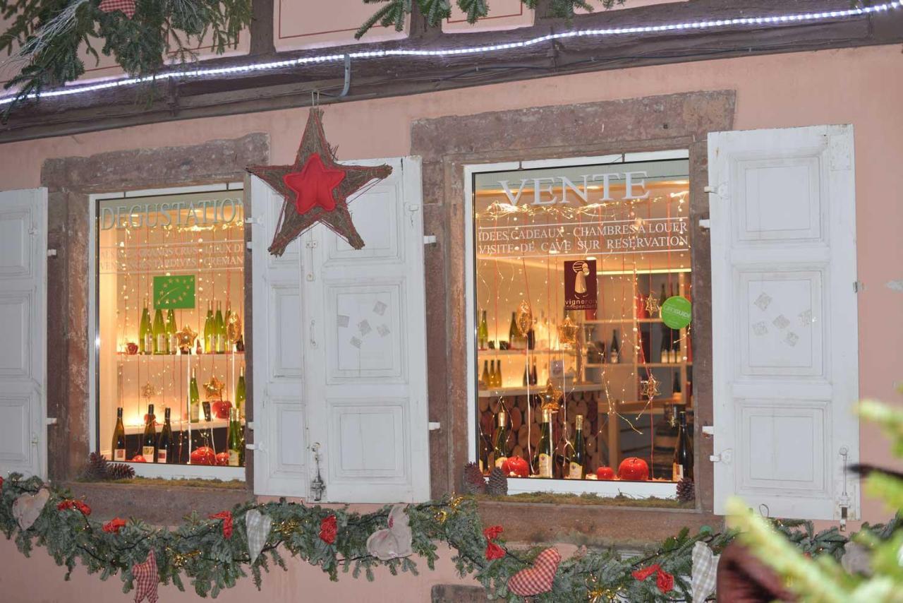 Chez Myriam Bed And Breakfast Studio Parme Кольмар Экстерьер фото